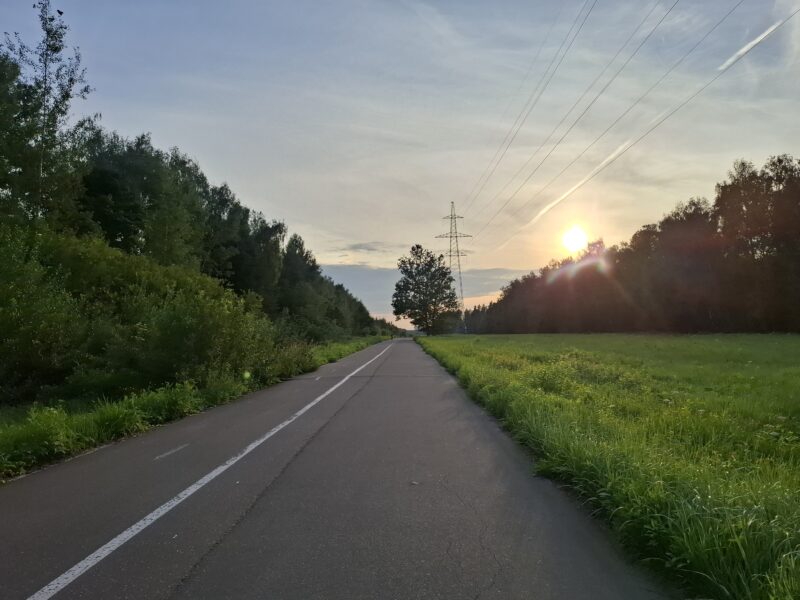 Дорожки в парке Лосиный остров, состояние на 11 августа 2025 по отзыву, фото 5. 